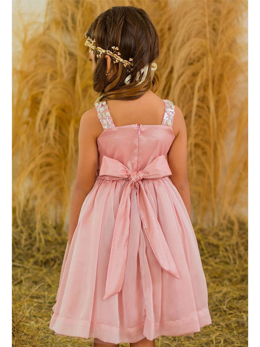 V. Luminosa-Palo de Rosa