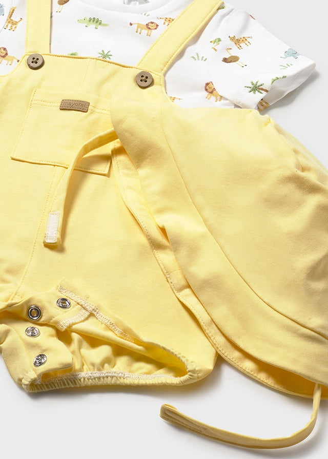Conjunto Mayoral